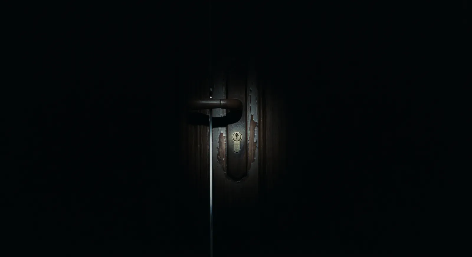 (INSOMNE) Capítulo 3: La puerta